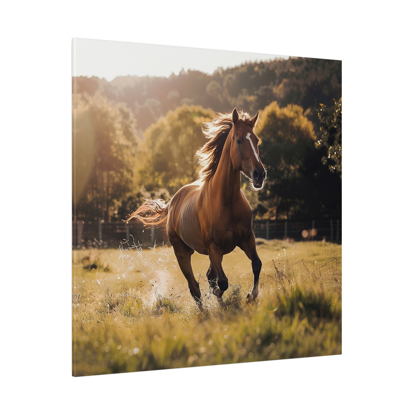 "Running Horse" Matte Canva