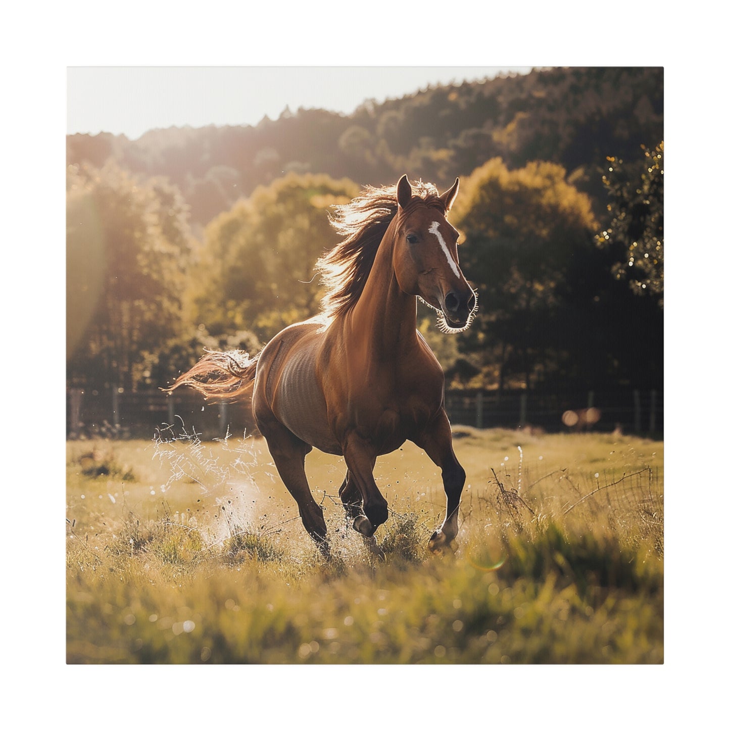 "Running Horse" Matte Canva